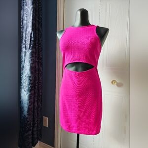 Forever 21 Fuchsia Sleeveless Dress